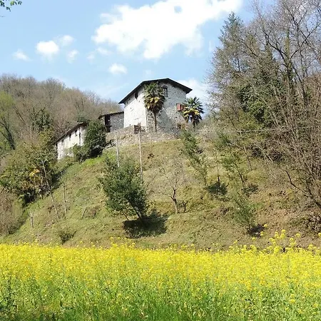 Scorci Di Pietra * Diecimo